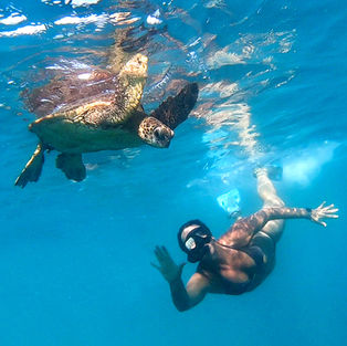 Swimming with Sea Turtles off the big island of Hawaii