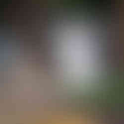 Capturing Love on a Budget: Affordable Micro Wedding Photography in the Charming Town of Stillwater, MN