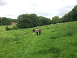 Open fields now