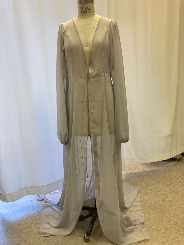 Cinderella's Overdress