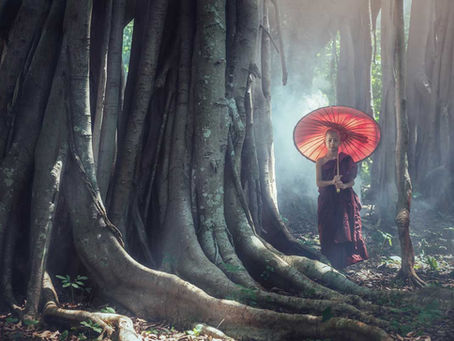 Chàng Trai Tăng Tuổi Thọ - Tích truyện Kinh Pháp Cú 109