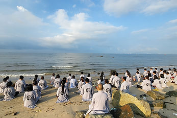VT-06.jpg