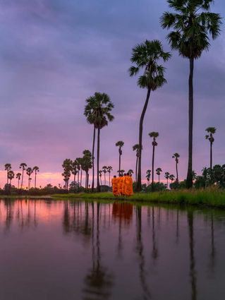 Phẩm-Tâm.jpg