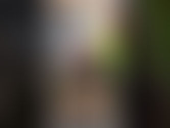 Visa 494 DAMA là gì?