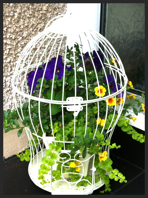 Birdcage
