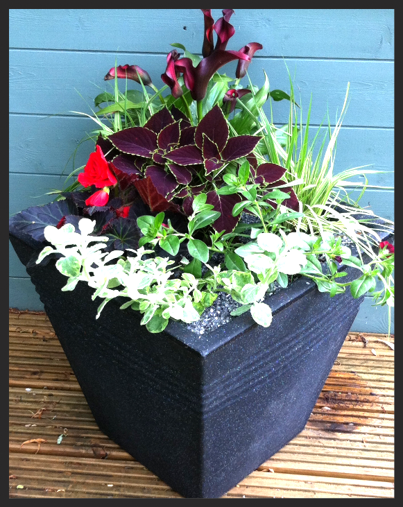 Ruby Wedding Gift