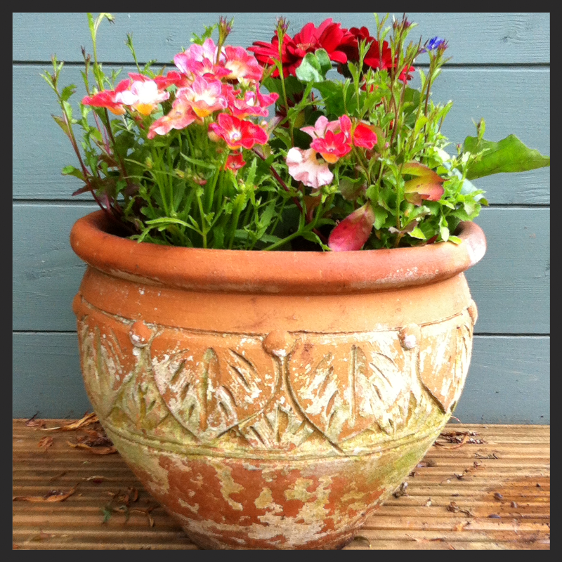 Summer brights