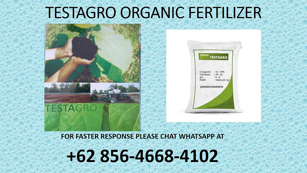 +62 856-4668-4102 WHATSAPP, Organic Fertilizer Suppliers In South Africa