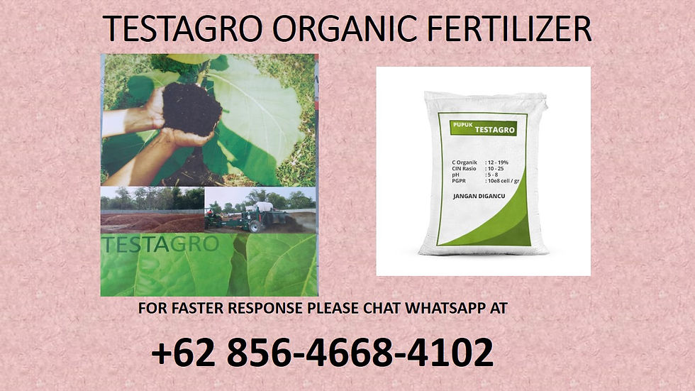Buy Organic Fertilizer Uk, Organic Fertilizer Wholesale, Organic Fertilizer Wholesale Distributors, Organic Fertilizer Wholesale Price, Organic Fertilizer Wholesalers In India, Organic Fertilizer Wholesale Company, Organic Fertilizer Suppliers, Organic Fertilizer Suppliers In Kenya, Organic Fertilizer Suppliers In South Africa, Organic Fertilizer Suppliers In Thailand,