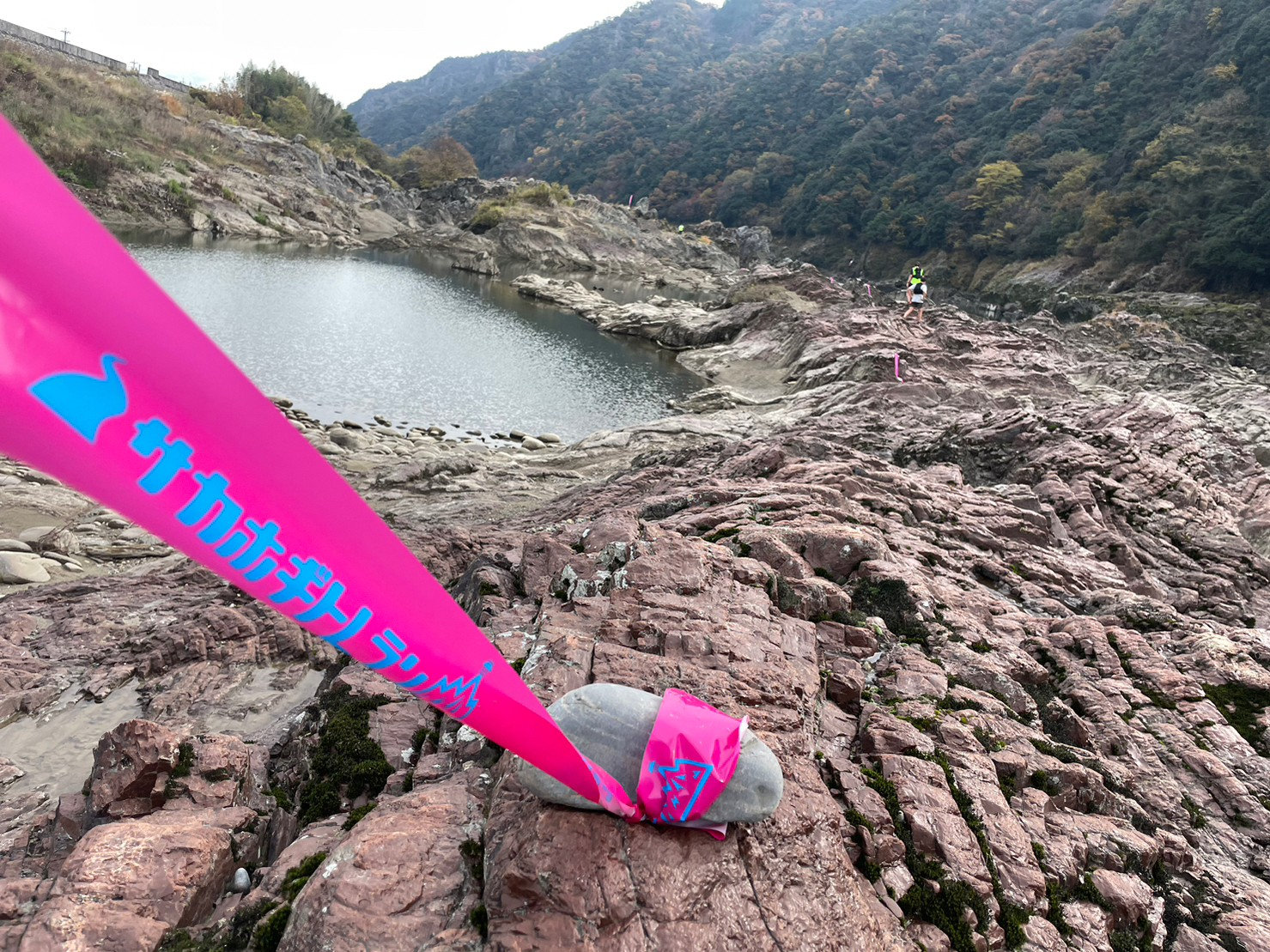 サカホギトレラン2025TT