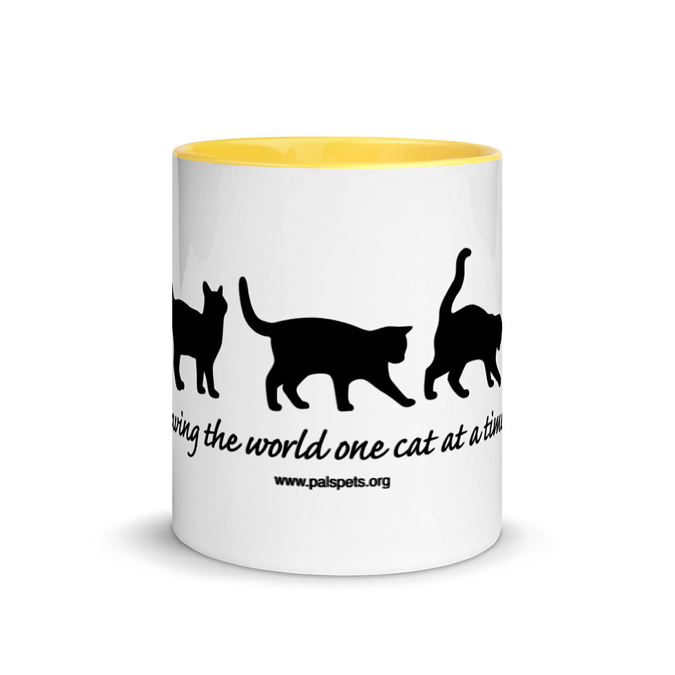 Thumbnail: PALS:  Mug with Color Inside