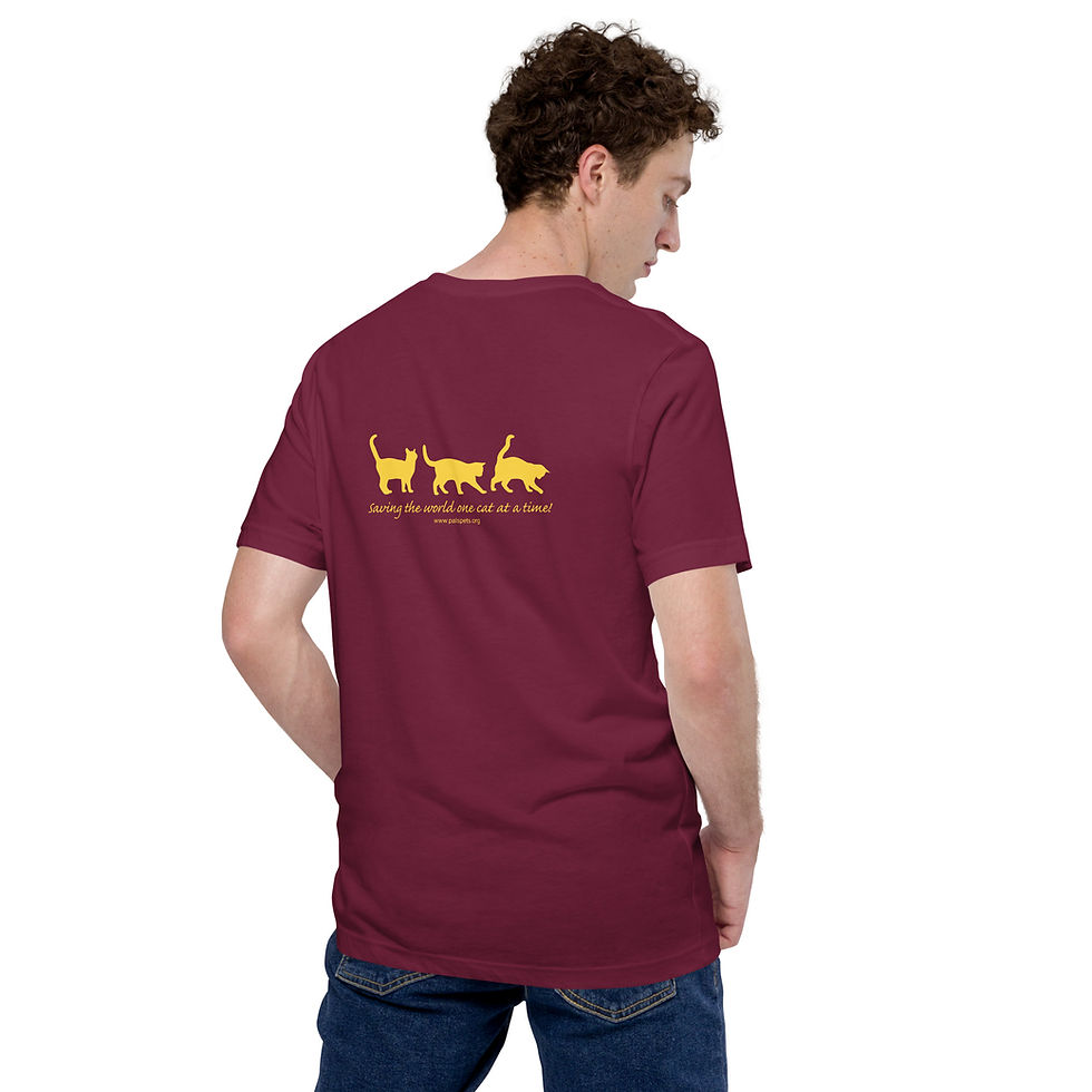 Thumbnail: PALS:  Gold Print on Dark Unisex t-shirt