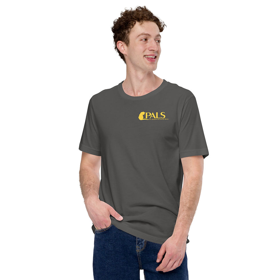 Thumbnail: PALS:  Gold Print on Dark Unisex t-shirt