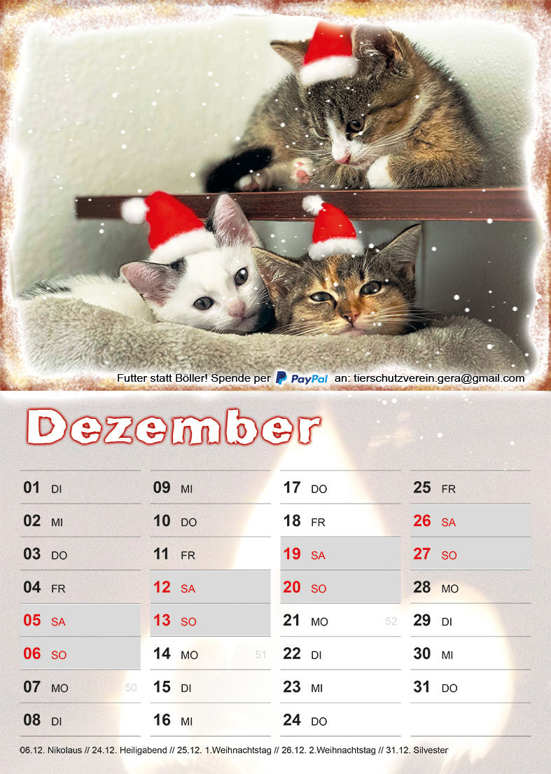 Miniaturbild: Pfötchenkalender 2026 - Tierschutzverein Gera