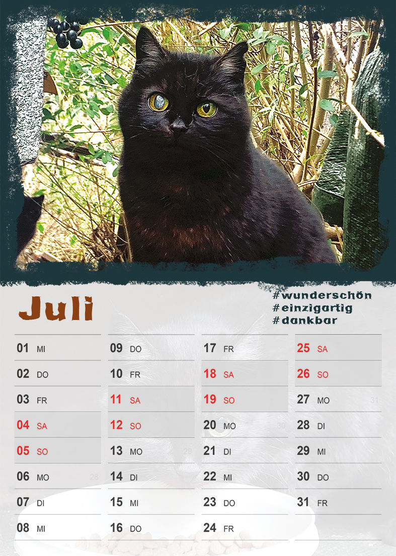 Miniaturbild: Pfötchenkalender 2026 - Tierschutzverein Gera