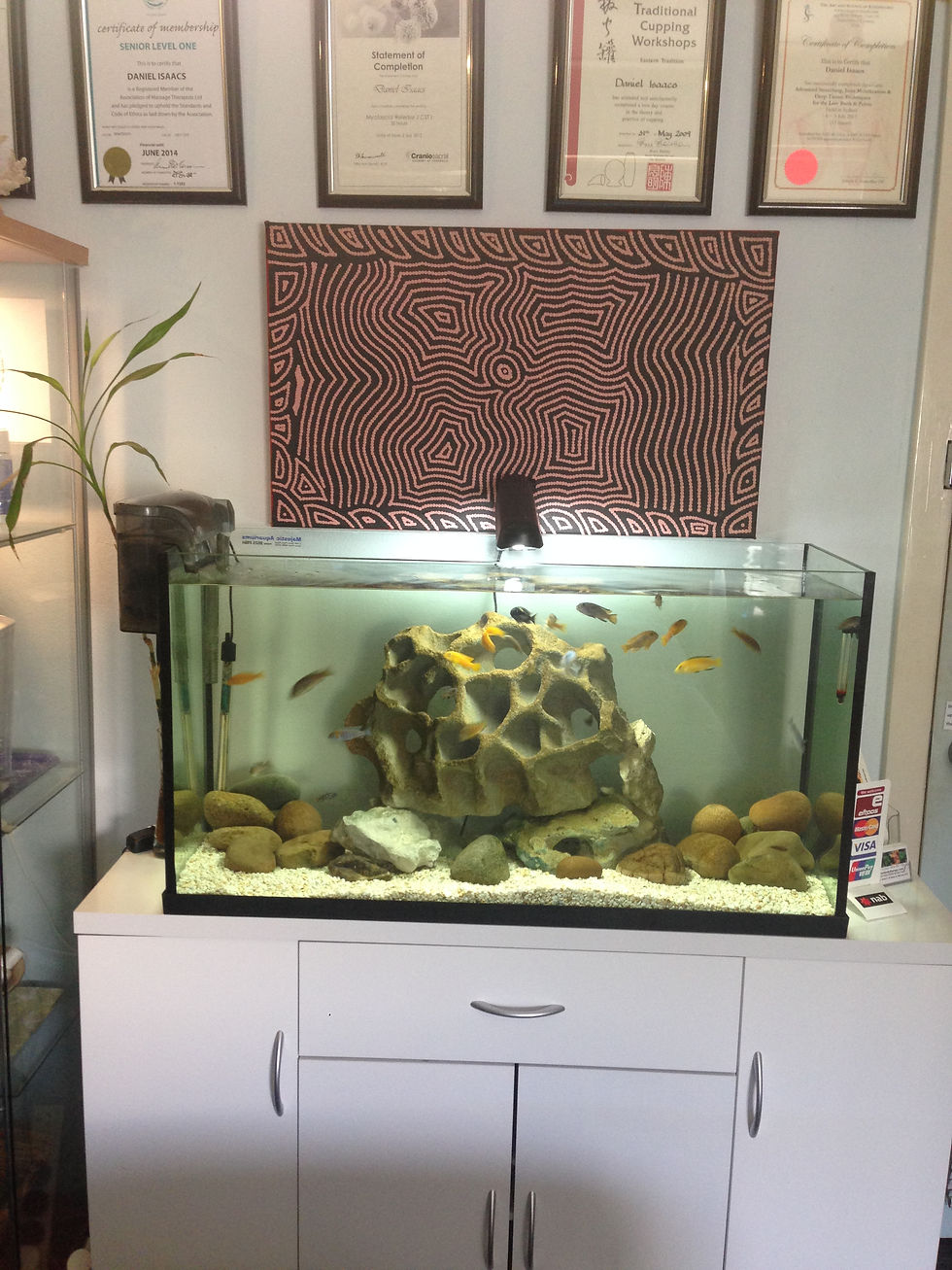 2014-03-12 10.09.24.jpg
