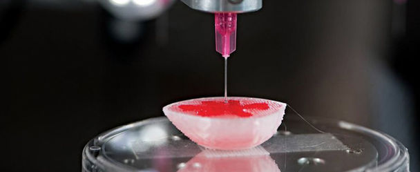 TOP EXPERTS JOIN THE "DESIGN AND FABRICATION OF 3D PRINTED BIOMEDICAL APPLICATIONS" COURSE