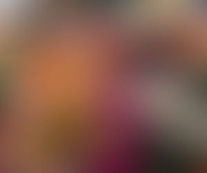 クリスマスパーティ🎄