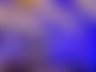 パーティー報告