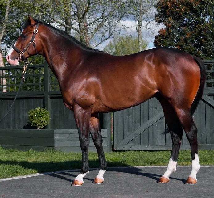 23RTR Lot 189 Conform.jpg