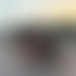 Le SNRV brille à l’Ultra Marin 2025 : une participation remarquable sur toutes les distances !