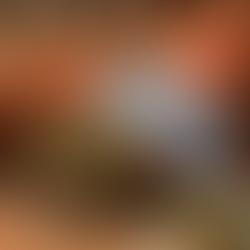 Small Businesses You Need to Visit on Nantucket Before Summer Ends