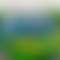 5 Nantucket Neighborhoods Buyers Are Loving This Summer