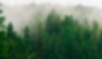 britt-fowler-hc8hoMg_Q7U-unsplash_edited.jpg