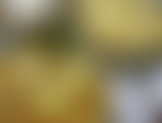 Já provou o Pão de Queijo Francini?