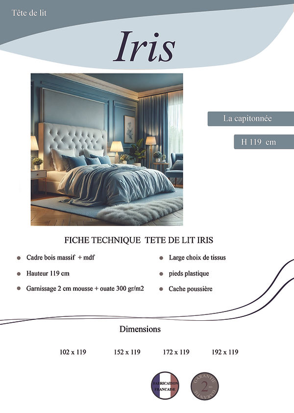 IRIS-Récupéré.jpg