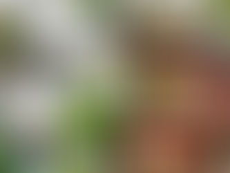 Townhouse vs Apartment: Which Is Better for Renters in Philadelphia?