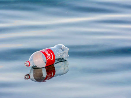 Water, Wellness, and Respect: Why We Don't Serve Coca - Cola at Cavita and its environmental impact.