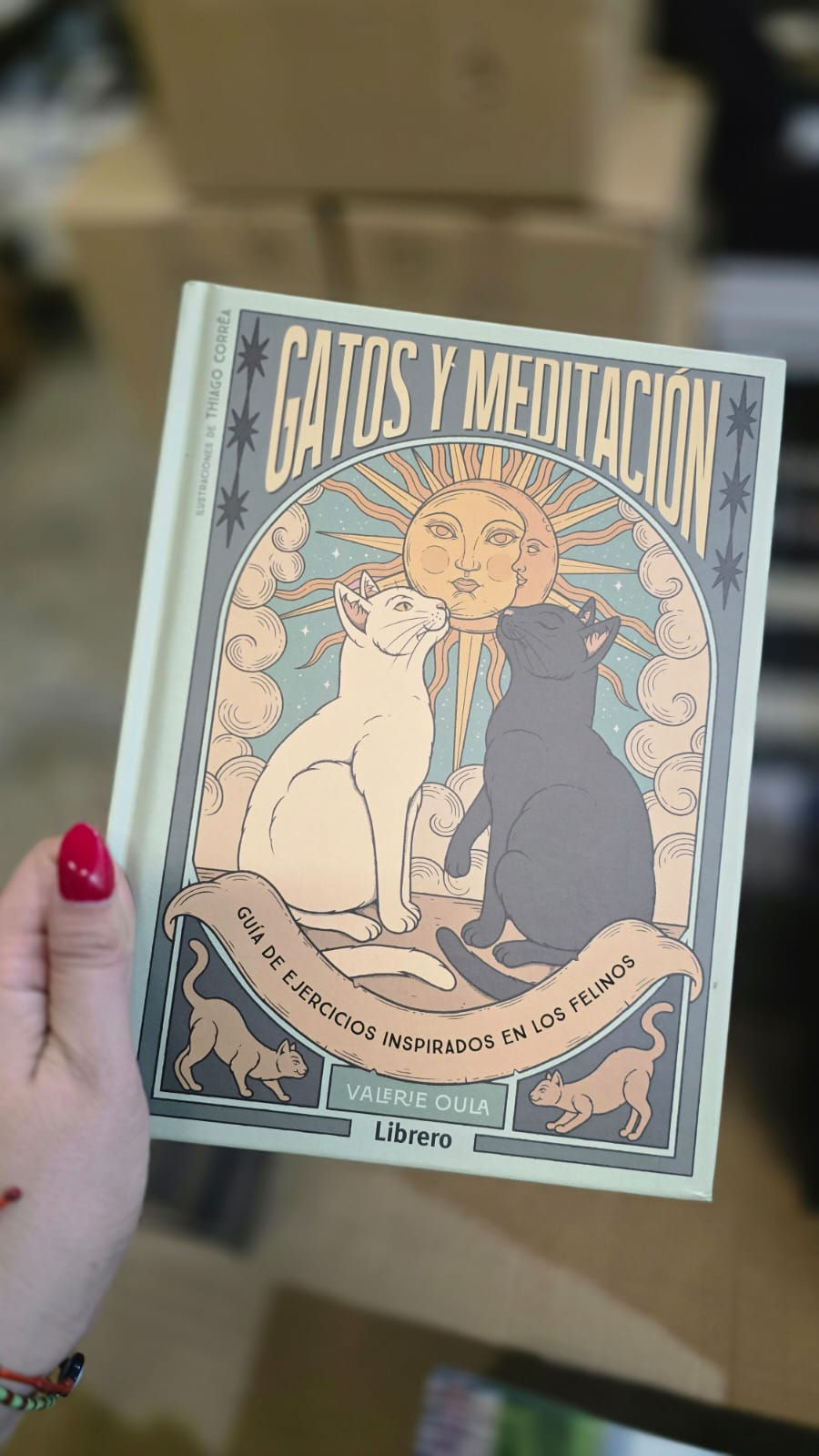 Libro gatos y meditación