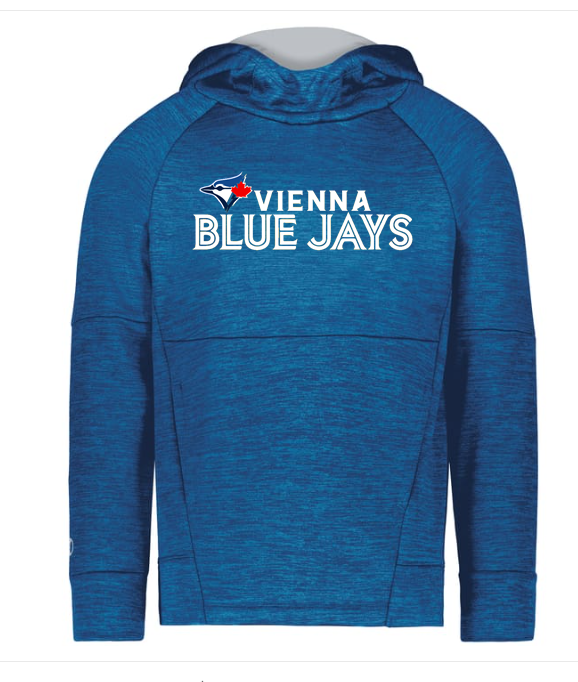 Thumbnail: Blue Jays - ALL-PRO PERFORMANCE FLEECE HOODIE Adult/Youth