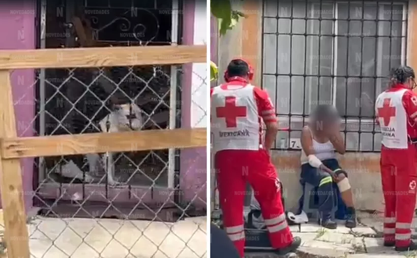 Tremendo susto y peligroso momento, vivió la trabajadora de Aguakan, mientras realizaba labores de inspección en medidores domiciliarios.