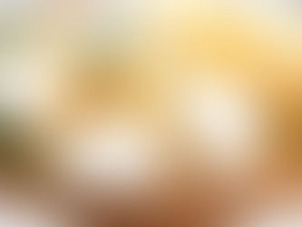 Exploring The World Of Artisan Cheese