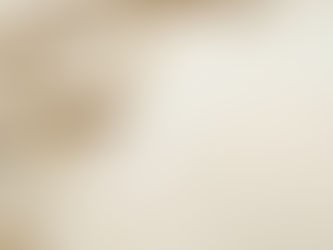 The Journey Of A Manuscript