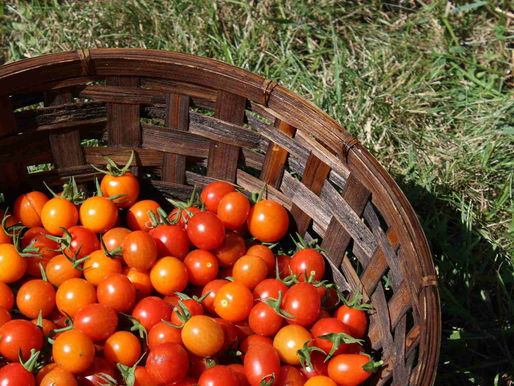 The Best Ways To Use Fresh Summer Tomatoes