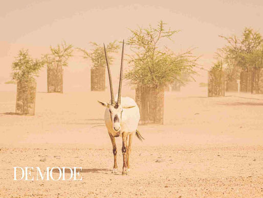 "FROM ALMOST GONE TO FLOURISHING - THE REBIRTH OF THE ARABIAN ORYX": DE MODE GLOBAL