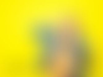 "FASHIONABLE AND AFFORDABLE - HOW TO LOOK STYLISH ON A BUDGET": DE MODE GLOBAL