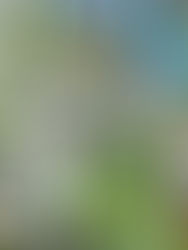 HOW BUSINESSES ARE REDEFINING CORPORATE SOCIAL RESPONSIBILITY