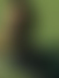 Strength Training For Beginners