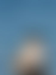 THE IMPORTANCE OF MENTAL REST FOR OVERALL WELL-BEING