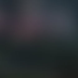 KEVIN PATEL, 28, SHOT AND KILLED IN LINCOLN PARK; POLICE INVESTIGATION UNDERWAY