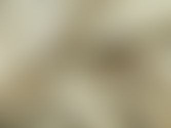 "HOW TO WEAR SEQUINS DURING THE DAY": DE MODE GLOBAL