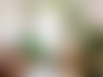 "THE POWER OF PLANTS - HOW TO INCORPORATE GREENERY IN YOUR INTERIOR DESIGN": DE MODE GLOBAL