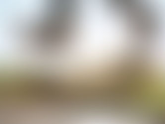 Skateboarding Revolution: The Global Impact Of A Subculture