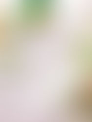 WHY GUT HEALTH IS THE KEY TO OVERALL WELLNESS