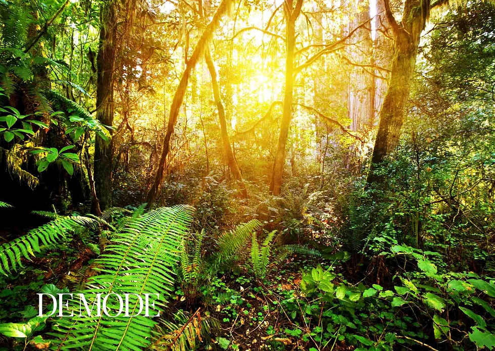 Adventures Beyond The Map Where The Unknown Awaits