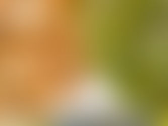 CAPTURING THE CHANGING SEASONS THROUGH PHOTOGRAPHY